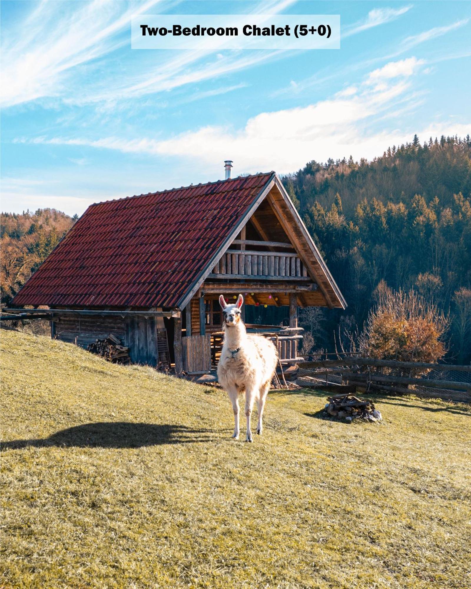 Ranch At Geta Guest House Razgorce Cameră foto